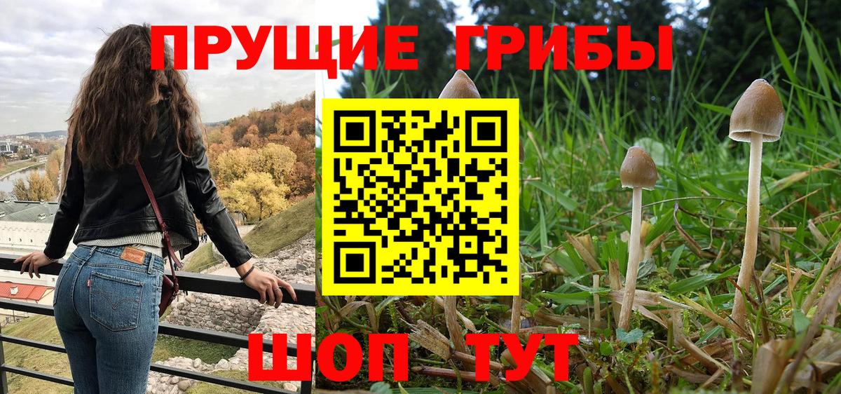 наркота  Псилоцибиновые грибы Cubensis  Орехово-Зуево  Вход с VPN  Псилоцибиновые грибы прущие грибы 